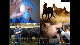 Introduction to Animal Industry Careers