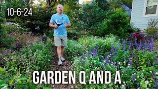 Really Great Garden Questions - Wimpy Hydrangeas, Fall Fertilizing, Transplanting, Replacing Soil