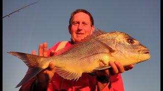 Floating pilchards for demersals.