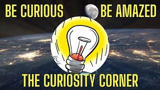 The Curiosity Corner! Fun Facts and Knowledge!
