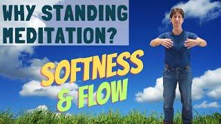 Why Standing Meditation Matters: Cultivating Energy Flow and Softness in Tai Chi, Qigong and Life