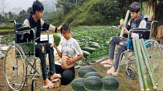 Pregnant mothers-Making land for planting  watermelon And take care of your husband  Handicapped