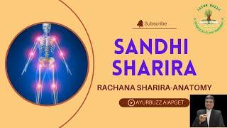 SANDHI SHARIRA ANATOMY BAMS SYLLABUS #ayurbuzz #bams #ayurveda #vddhaval #CHARAKCOACHING