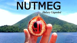 NUTMEG: The Horrible History Behind The Popular Spice