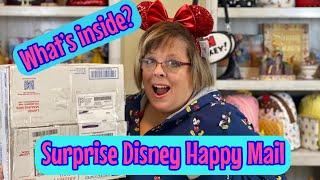 Just Ginger Unboxings: Be Our Guest Express Disney Subscription Box & Happy Mail Opening