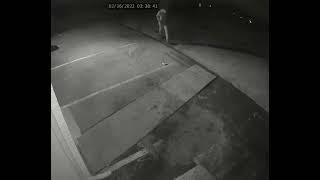 Clarksville Police try to identify Clarksville Guns and Archery attempted burglary suspects