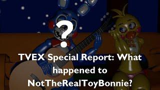 What happened to NotTheRealToyBonnie?