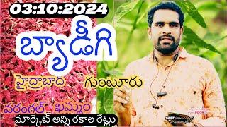 3 October2024 #బ్యాడీగిమార్కెట్ #గుంటూరుమార్కెట్ #తెలంగాణమార్కెట్ అన్నీరకాలరేట్లు|md hasan agritech