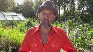 Hunting Brook Gardens Online Gardening Course - High Summer With Jimi Blake