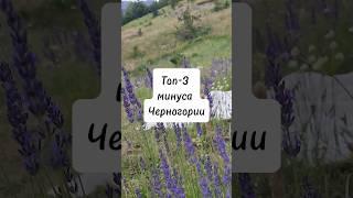 🫣Топ-3 минуса Черногории #shorts #tiktok #черногория