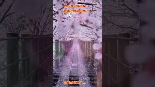 О личном... Мой выбор. ЛюМиСа.