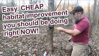 You need to be doing this cheap and easy deer habitat improvement right now!