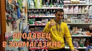 Работа в зоомагазине, что надо знать?