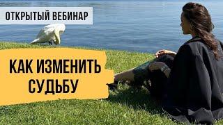 Как изменить судьбу и жить свою счастливую жизнь // Запись вебинара Светланы Демкиной