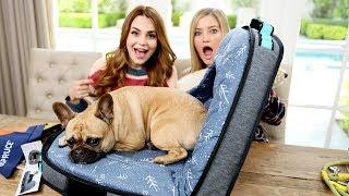 NEW Amazing Dog Travel Bed!  Unboxing with Rosanna!
