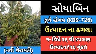 સોયાબિન ની નવી વેરાયટી ફૂલે સંગમ KDS-726 ઉત્પાદન ના ઢગલા | Soyabin KDS 726 Fule sangam