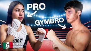 GYMBRO Boxea Contra PELEADORA PRO