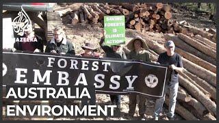Forest fires, logging create big crisis in Australia