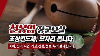 동두천점잘보는곳 천봉암장군보살