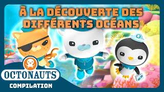 Octonauts -   À la découverte des différents océans 🪸 | Compilation | Dessins animés pour enfants