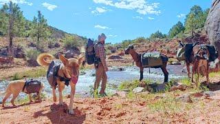 Five Friends Following Desert Water for Wilderness Camping in Solitude and Firebox Stove Cooking.