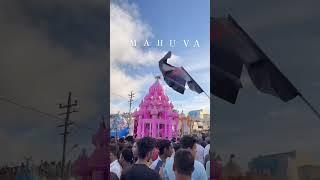 Mahuva Tajiya | Ashura | Muharram 2024 #tajiya #ashura #muharram #shorts #mahuvaazadari