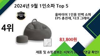 2024년 9월 1인소파 추천 TOP5