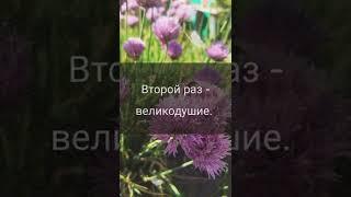 Мудрость слова  Цитаты со смыслом! Правда жизни 