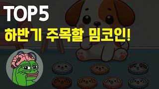 알트랠리 기대되는 하반기에 주목할 밈코인 TOP5