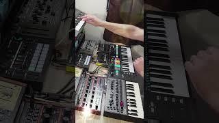 Classic JD-08 - Behringer Grind & Solina - JD-Xi  - Volca FM #synthwave #electronicmusic #volca