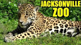 Jacksonville Zoo 2024 Tour & Review with The Legend