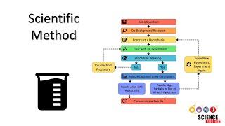 The Scientific Method: Steps and Examples