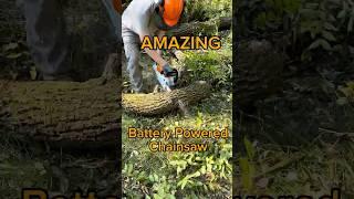 The BEST Homeowner Chainsaw BATTERY POWERED | STIHL MSA 220