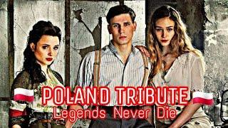 #polisharmy #IIworldwar #szareszeregi POLAND TRIBUTE || Legends Never Die  Warsaw 44 - Miasto 44