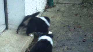 MOV07474