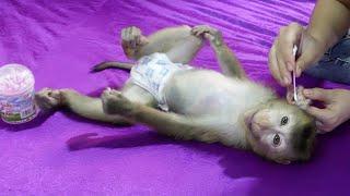 Most Cutest & Obedient Donal Sleep For Mom Clean Ear | Donal Good Health