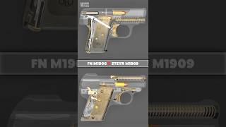 FN M1906 x Steyr-Pieper M1909