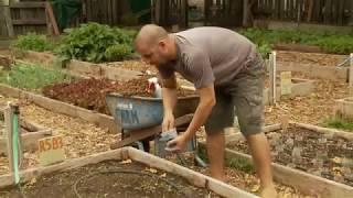Korean Natural Farming How To: Apply IMO4