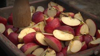 Antique Apple Cider Press