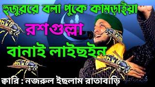 Qari Nazrul Islam Ratabari Karimgang || Maulana Nazrul Islam New Bangla Waz Puranaku chandpur