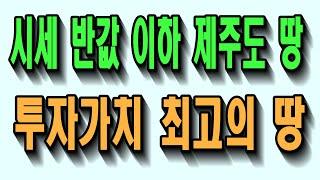 제주도 싼땅-제주도 시세 반값 이하 투자가치 아주 좋은 땅