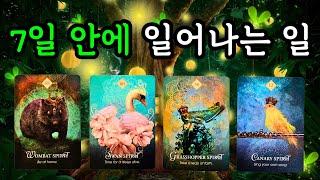 타로 7일 안에 일어나는 일 (11월25일~12월1일) 주간타로