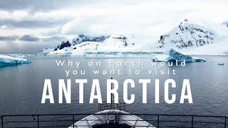 15 EPIC Reasons to Visit Antarctica - An Inside Look at What It's Really Like!