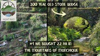 We BOUGHT 22 Hectares In The Mountains Of Monchique | Transforming Abandoned Land in Portugal | #1