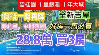 碧桂園十里銀灘|山林海|28萬8可以買3房|朝南|視野好|南北通|全新吉屋|隨時看房|中高樓層|出行方便