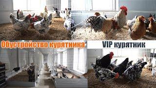 VIP курятник | обустройство курятника | куры