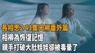 《長相思2》41集夭柳番外篇，相柳為恢復記憶，親手打破大肚娃娃，卻被毒暈了！#長相思#楊紫#張晚意#鄧為#代露娃#王弘毅#王禛#檀健次#史記有料