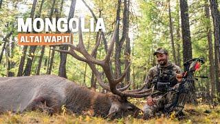 New World Record Elk: Bowhunting the Altai Wapiti in Mongolia