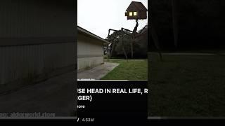 HOUSE HEAD IS SEARCHING FOR ME!!! #trevorhenderson #househead