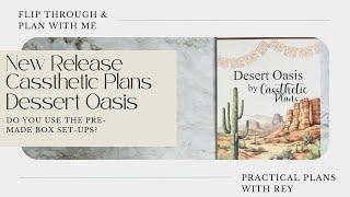 Plan With Me | Cassthetic Desert Oasis Stickerbook | Skinny Classic Planner